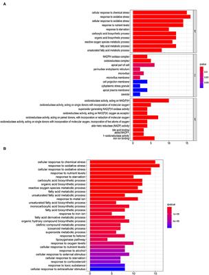 Identification of the Ferroptosis-Related Long Non-Coding RNAs Signature to Improve the Prognosis Prediction in Papillary Renal Cell Carcinoma